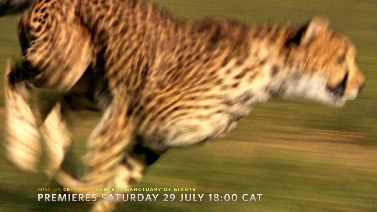 Namibia, Sanctuary of Giants Trailer