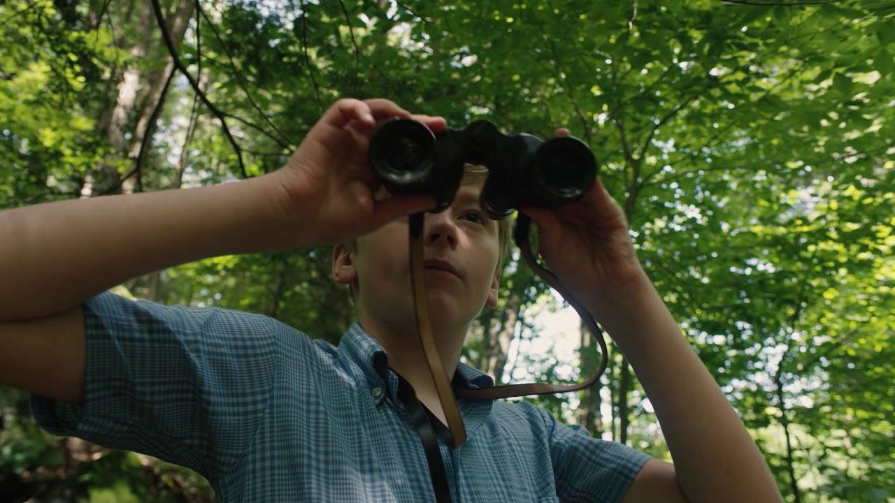 A Home for Curiosities Trailer