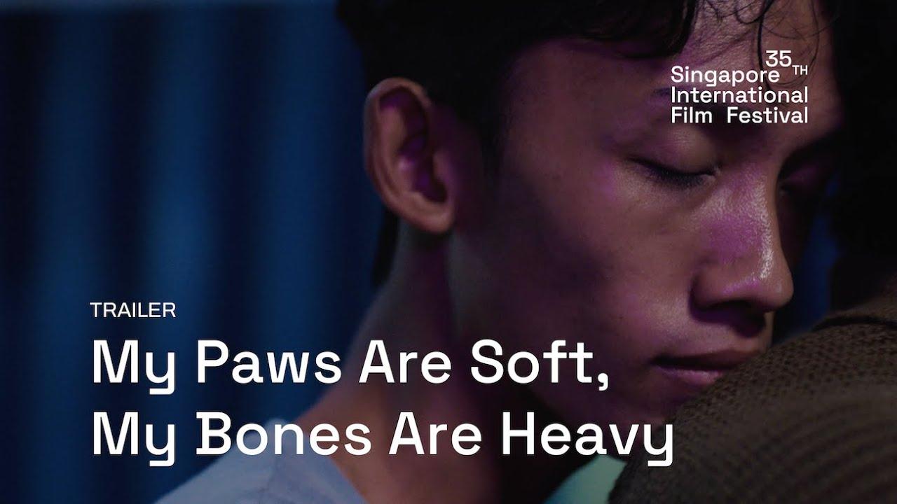My Paws Are Soft, My Bones Are Heavy Trailer