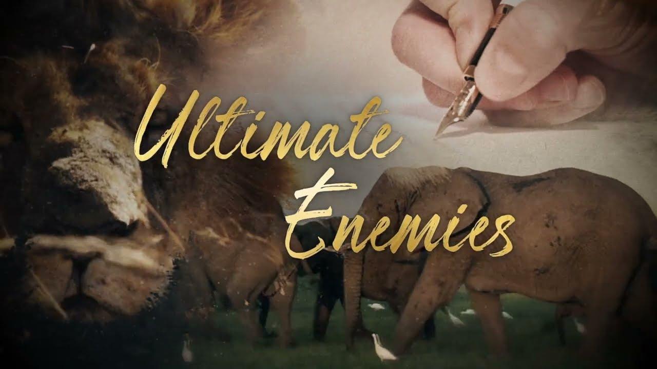 Ultimate Enemies: Elephants and Lions Trailer