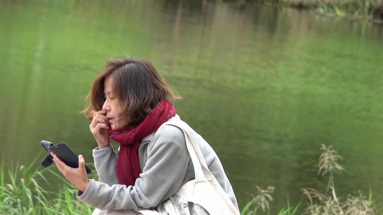 Poets' Window Trailer