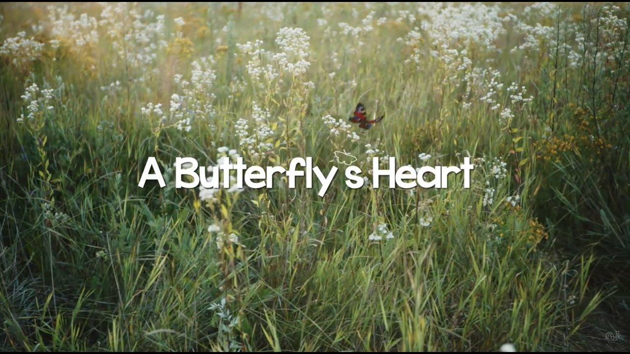 A Butterfly's Heart Trailer