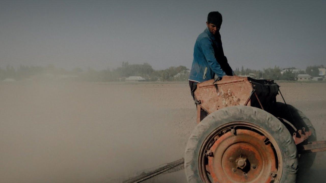 Cotton 100% Trailer