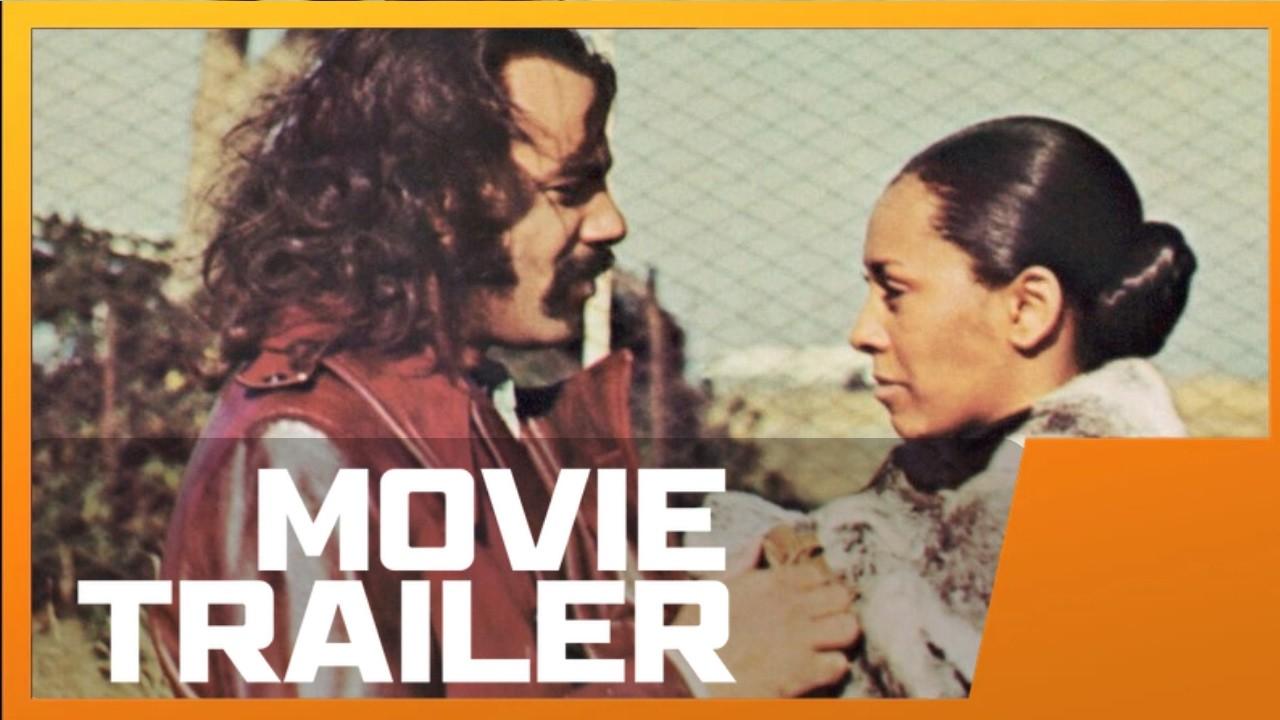 Super Fly T.N.T. Trailer