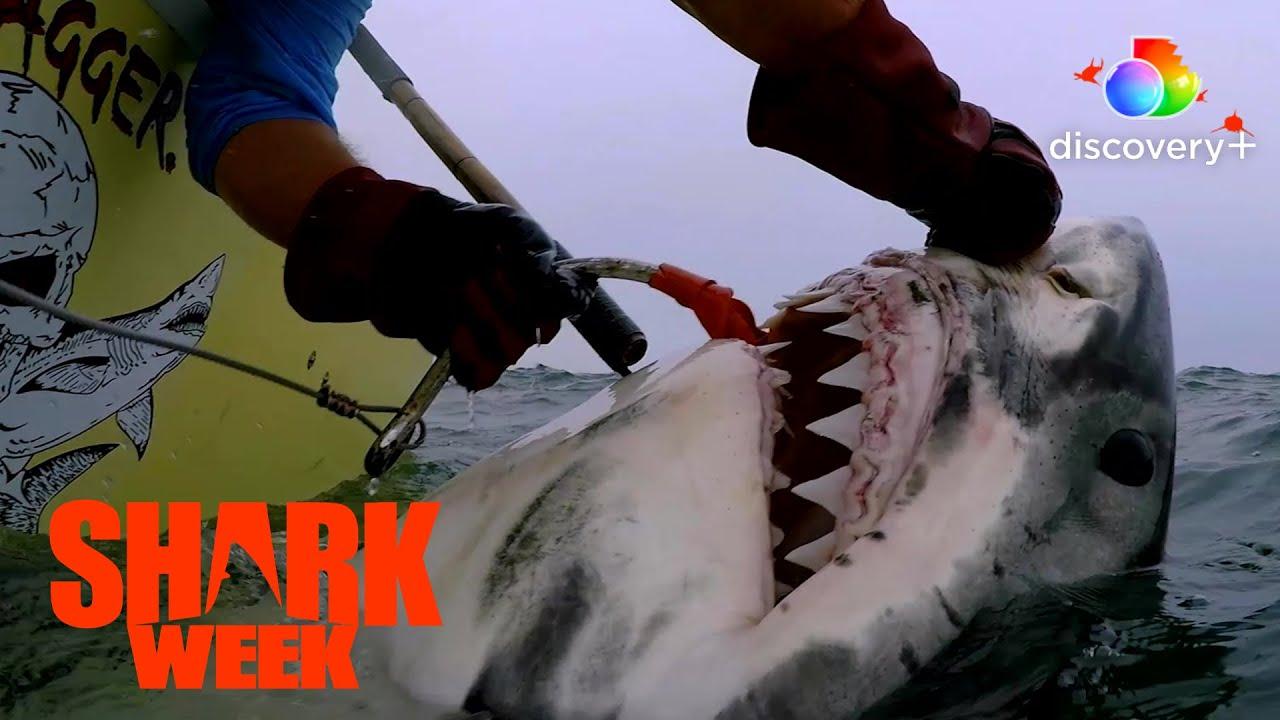Great White Serial Killer: Fatal Christmas Trailer