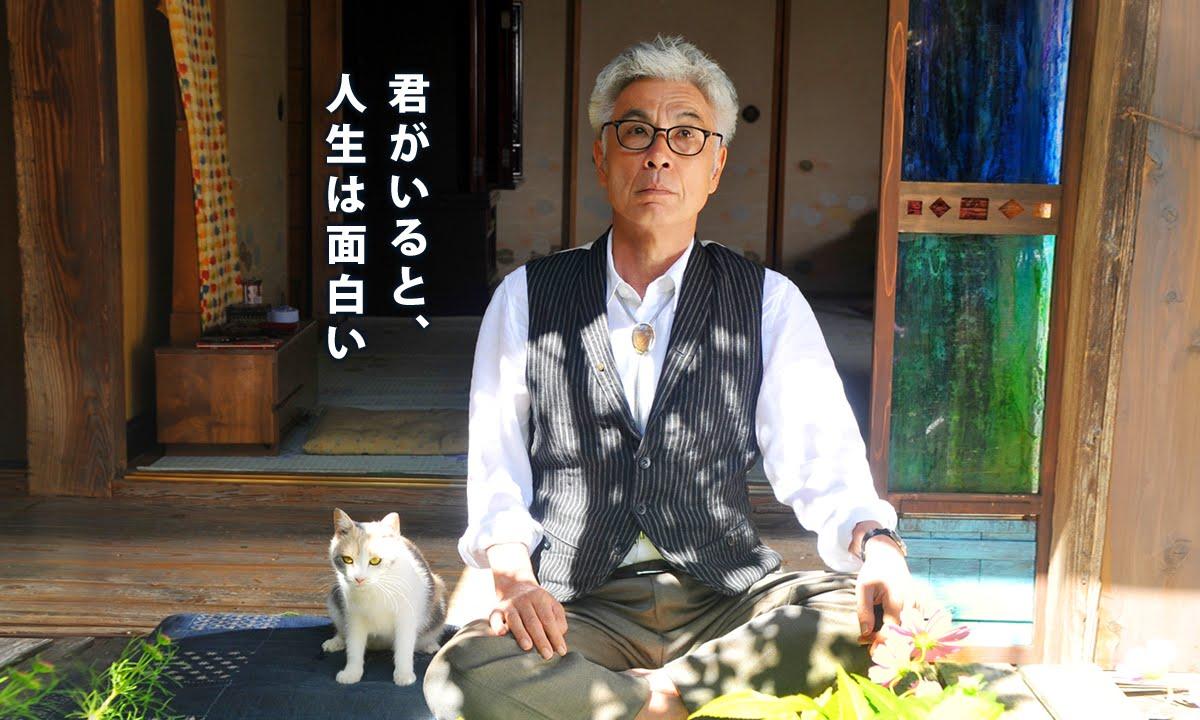 Teacher and Stray Cat Trailer