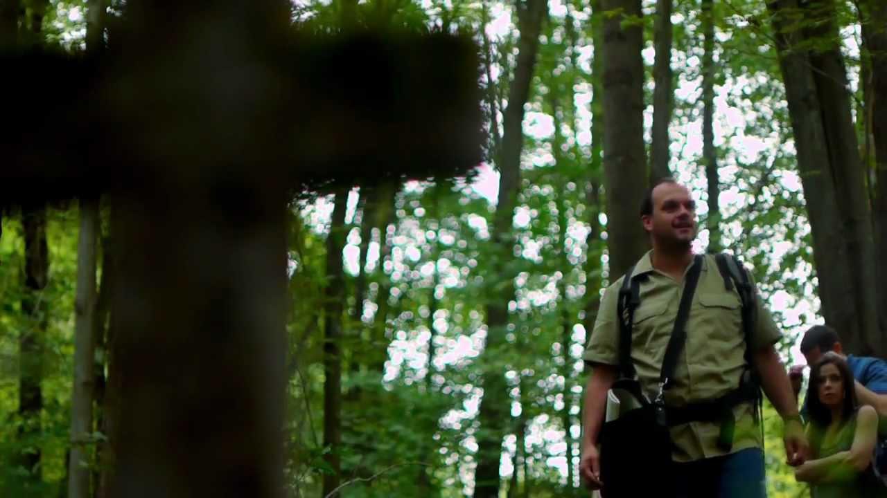 The Cemetery Trailer