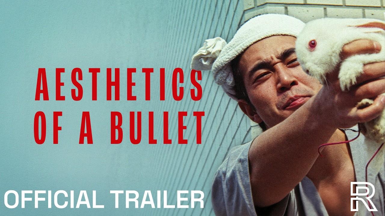 Aesthetics of a Bullet Trailer