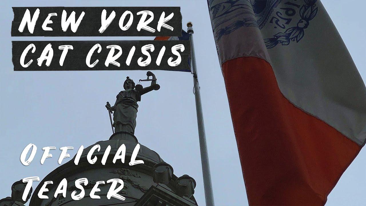 New York Cat Crisis Trailer