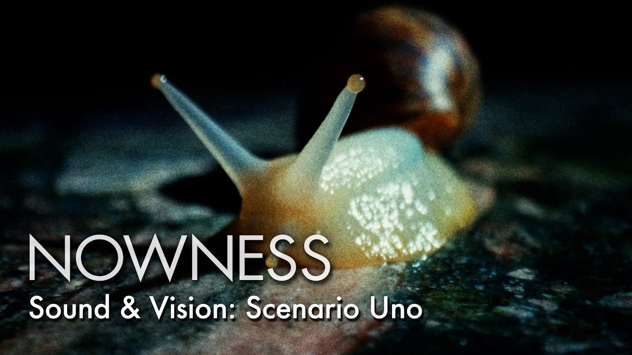 Scenario Uno Trailer