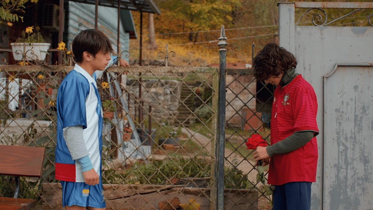 The Last Summer of Ladybugs Trailer