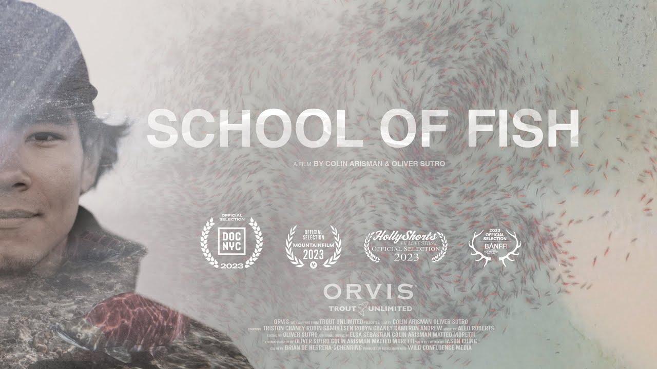 School of Fish Trailer