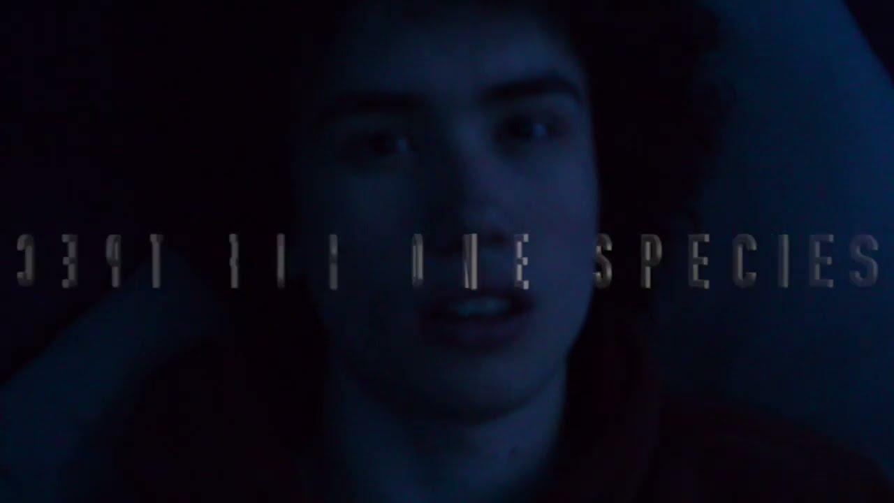 Unidentified Trailer