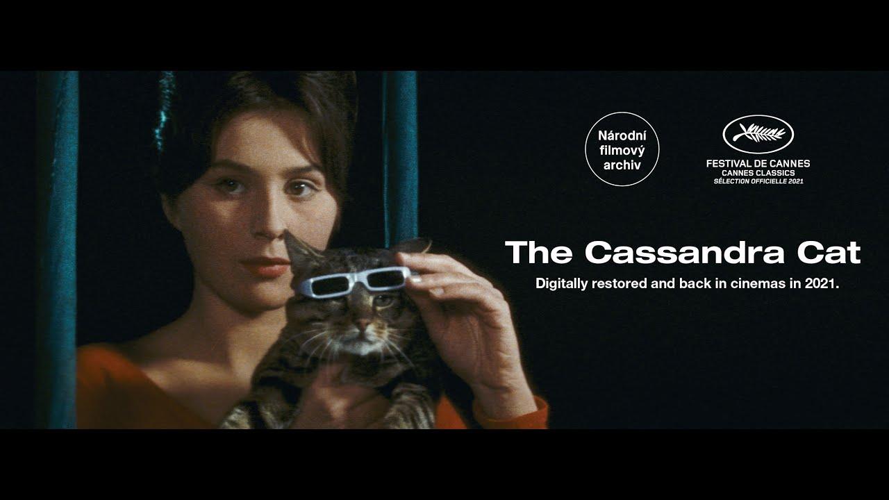 When the Cat Comes Trailer