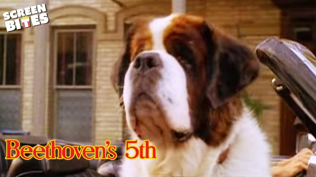 Beethoven's 5th Trailer