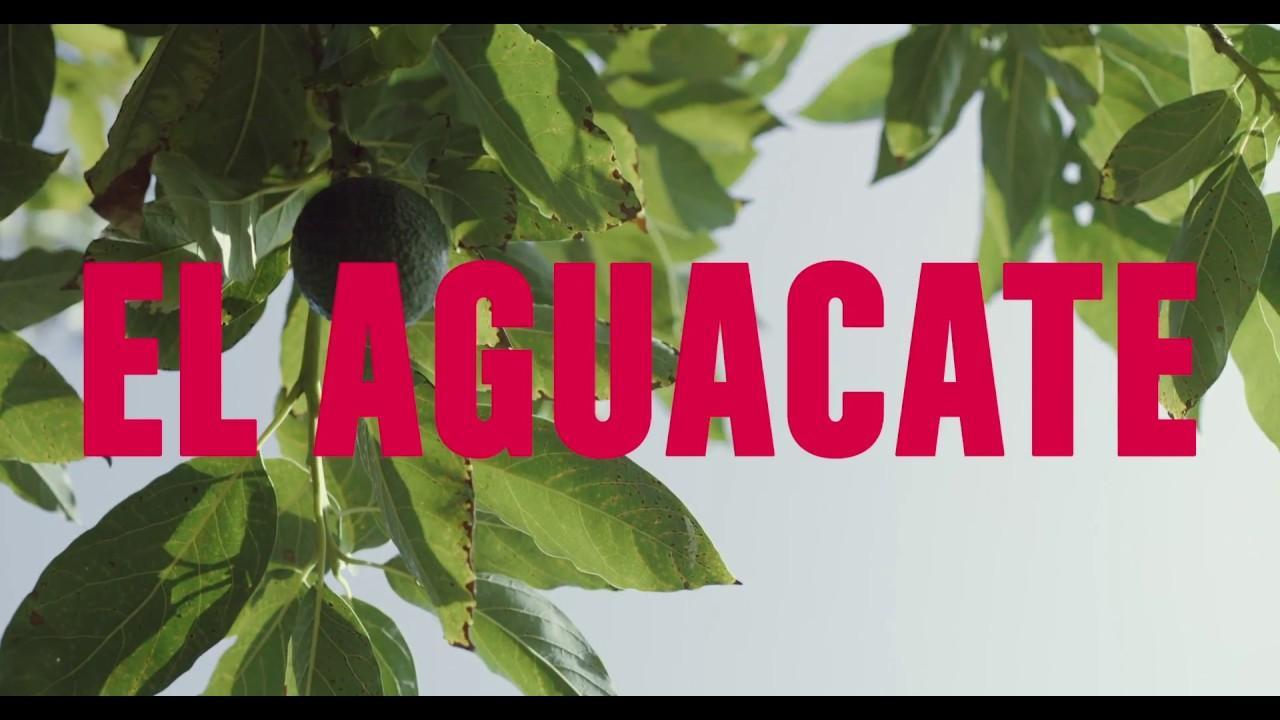 The Avocado Trailer