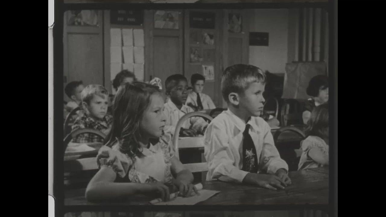 Duck and Cover Trailer