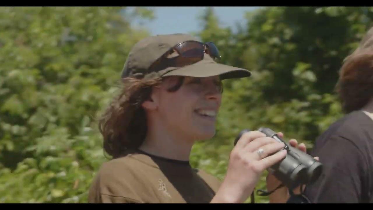 Understanding Myself as an Amphibian Trailer