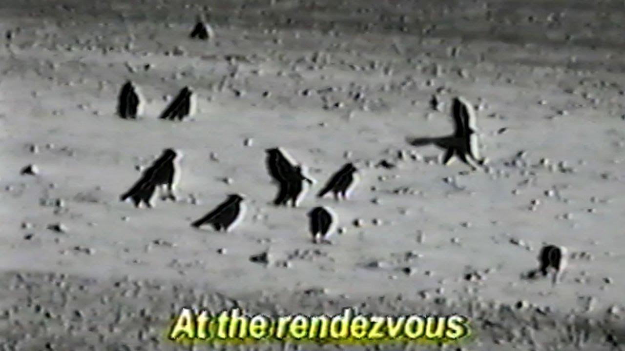 RENDEZVOUS Trailer