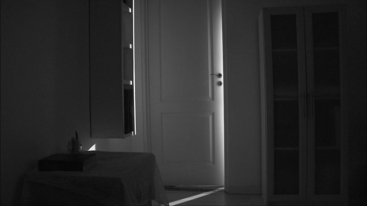 METAMORFOSIS Trailer