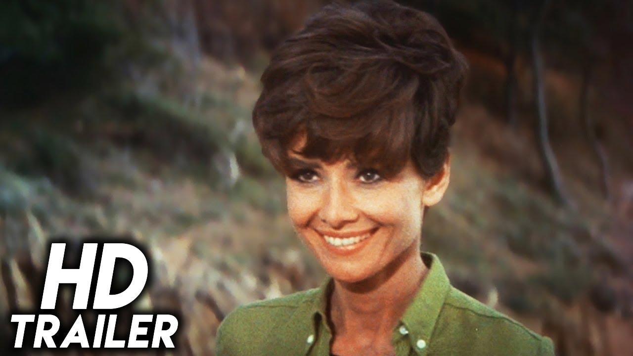 Two for the Road Trailer