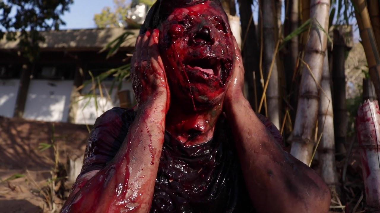 290 Poisons Trailer