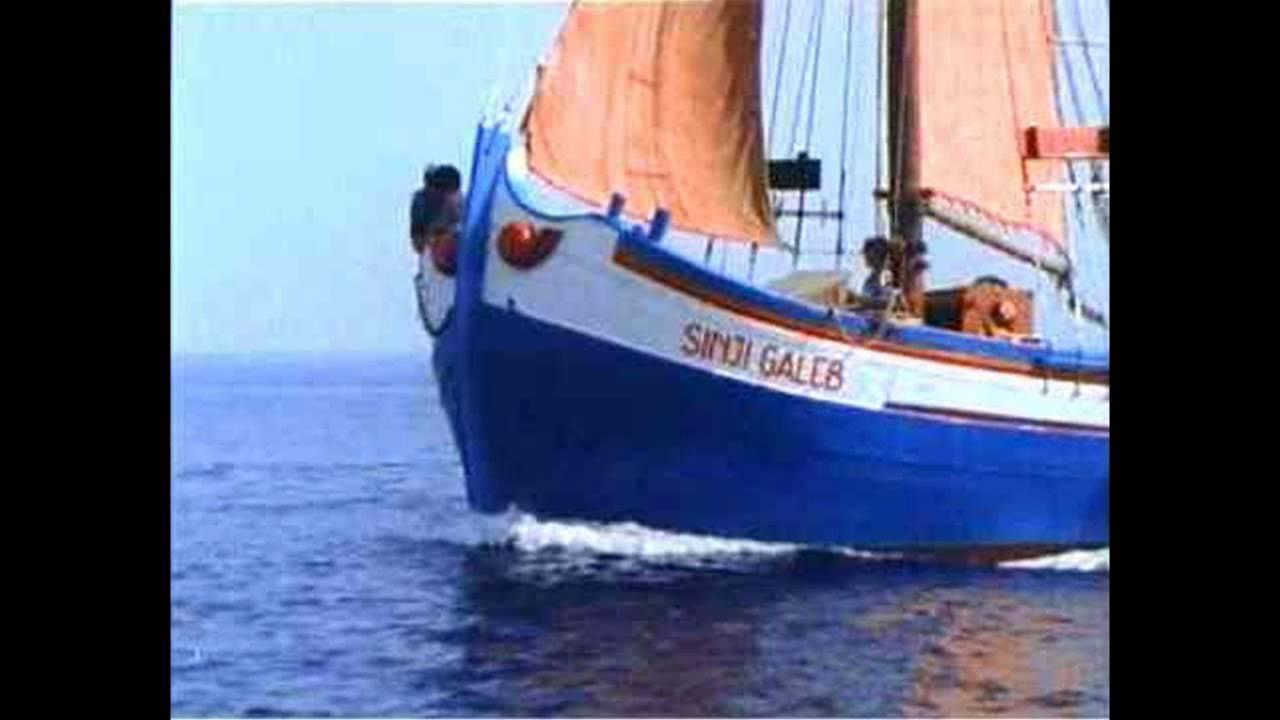 The Cyan-Blue Seagull Brotherhood Trailer