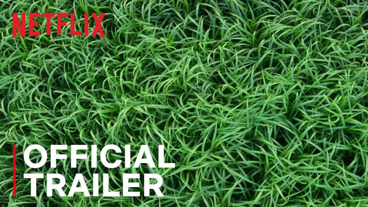In the Tall Grass Trailer