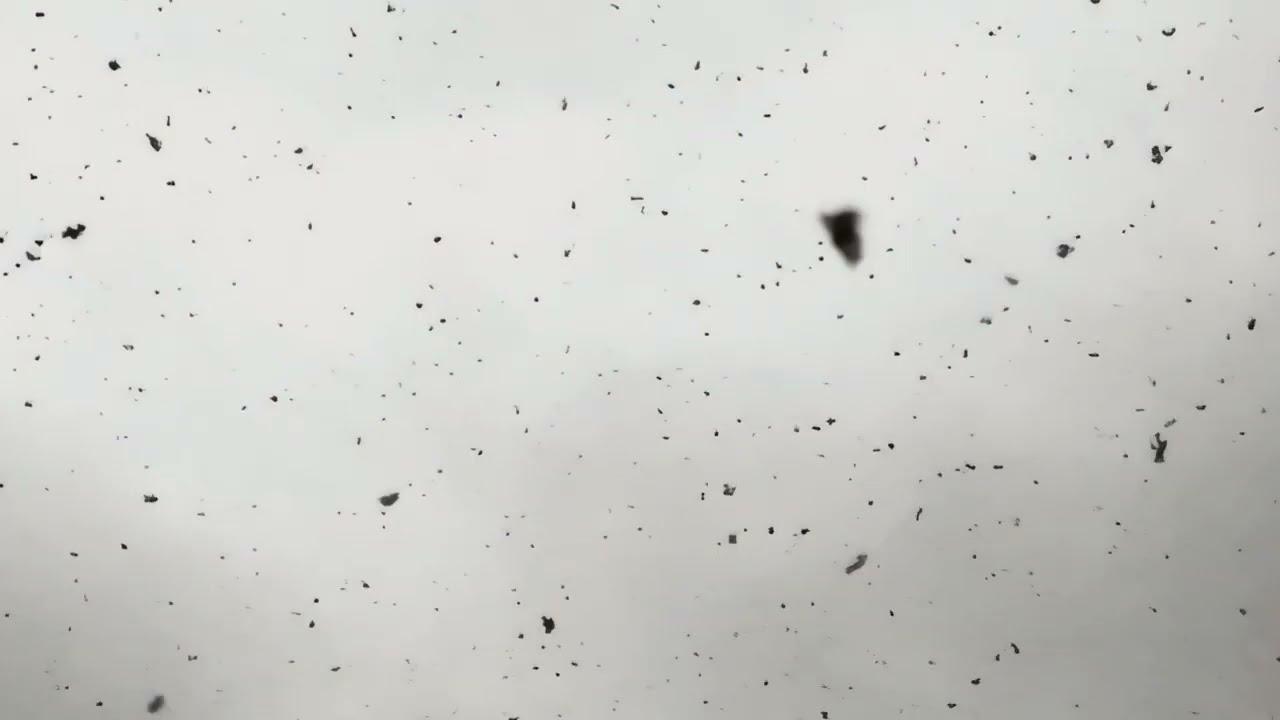 Dream Vapours Trailer
