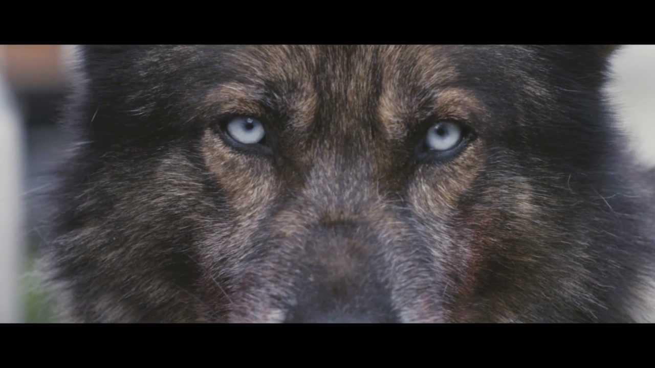 Howling Trailer