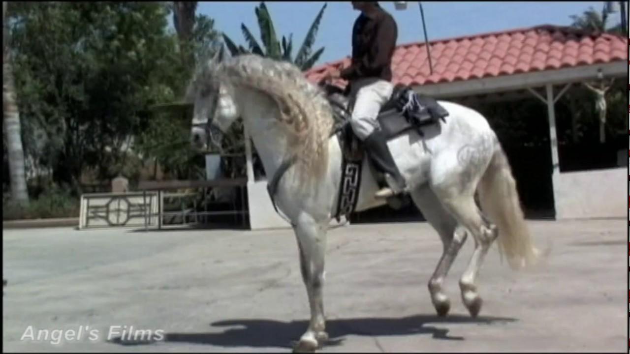 La Apuesta Del Pueblo Trailer