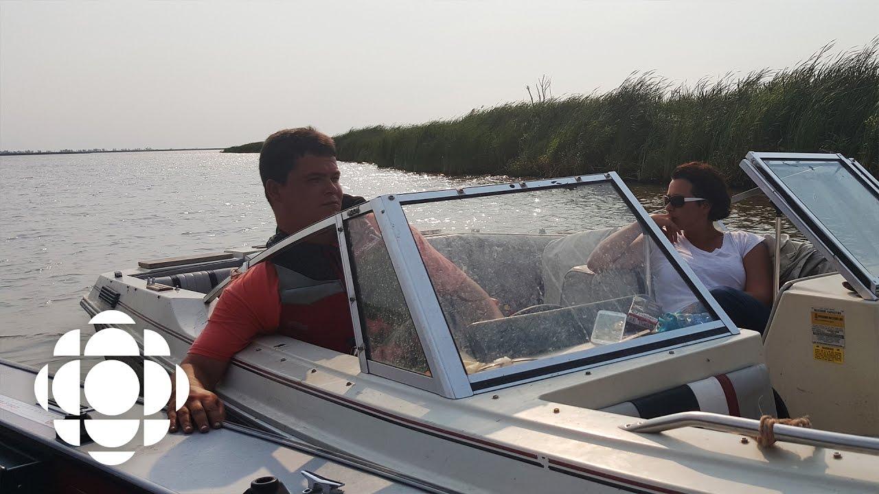 this river Trailer