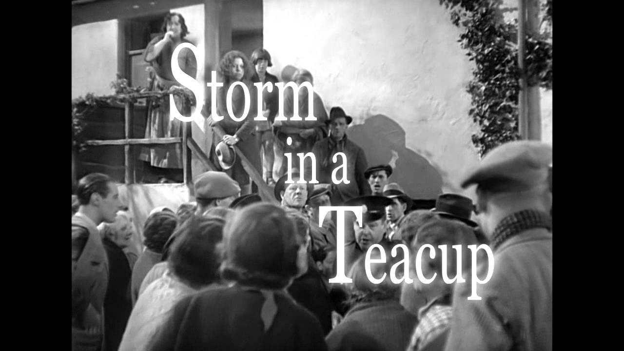 Storm in a Teacup Trailer
