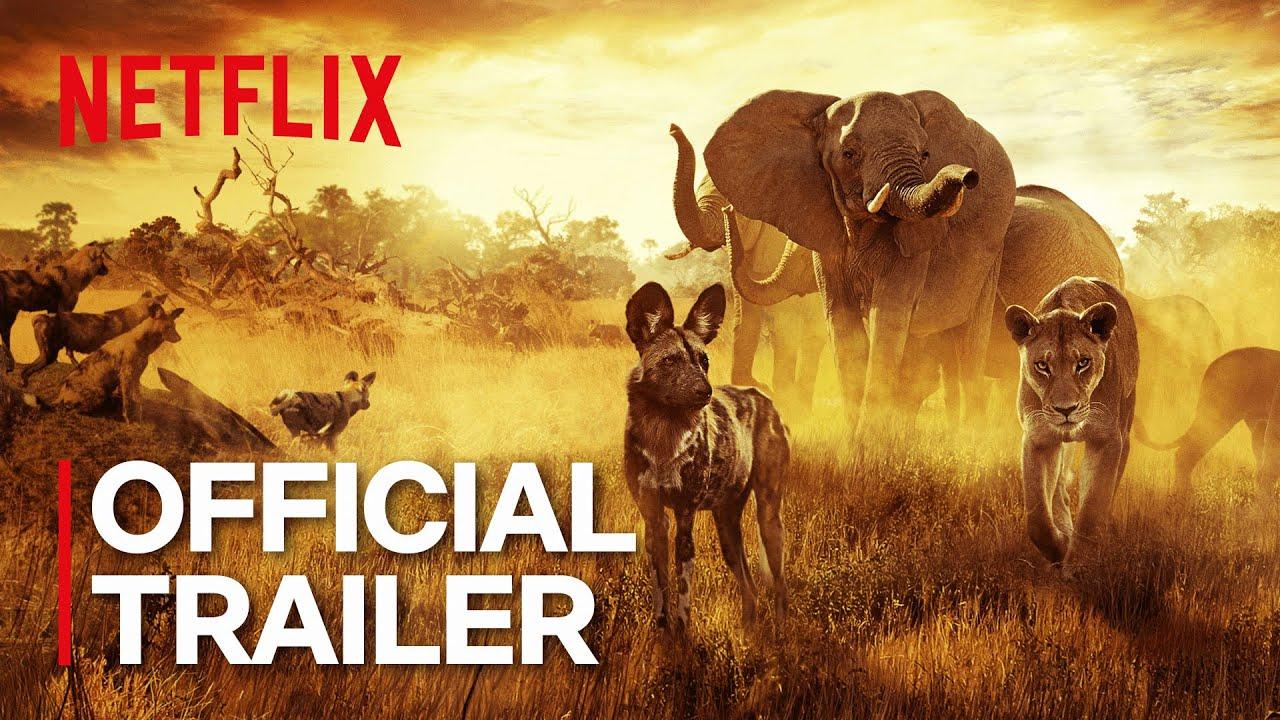 Surviving Paradise: A Family Tale Trailer