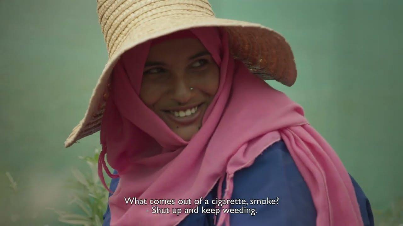 Wild Relatives Trailer