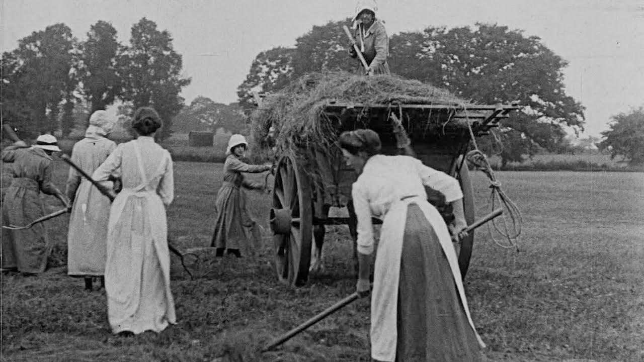Women Hay Makers Trailer