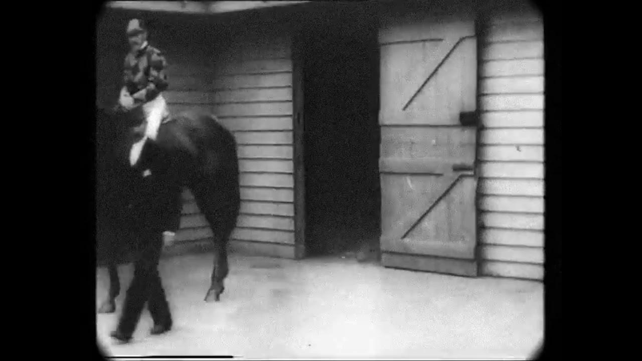 The Melbourne Cup Trailer