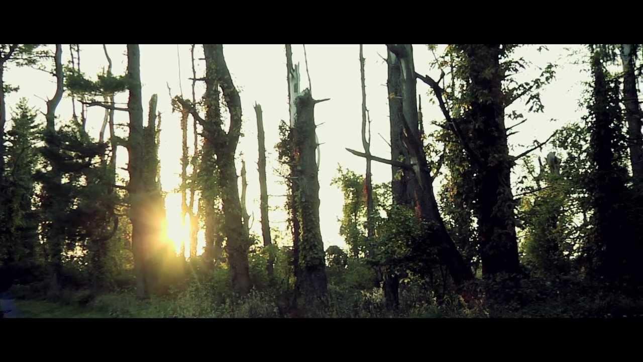 Hylo Trailer
