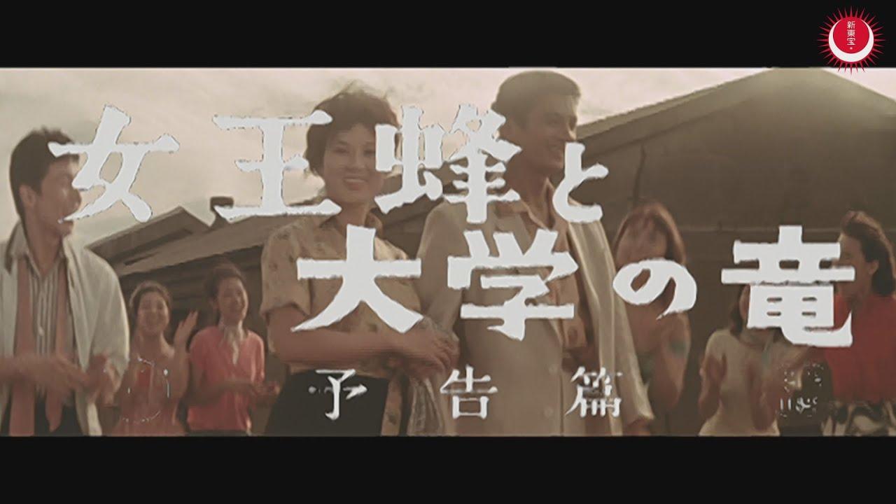 Queen Bee and College Boy Ryu Trailer