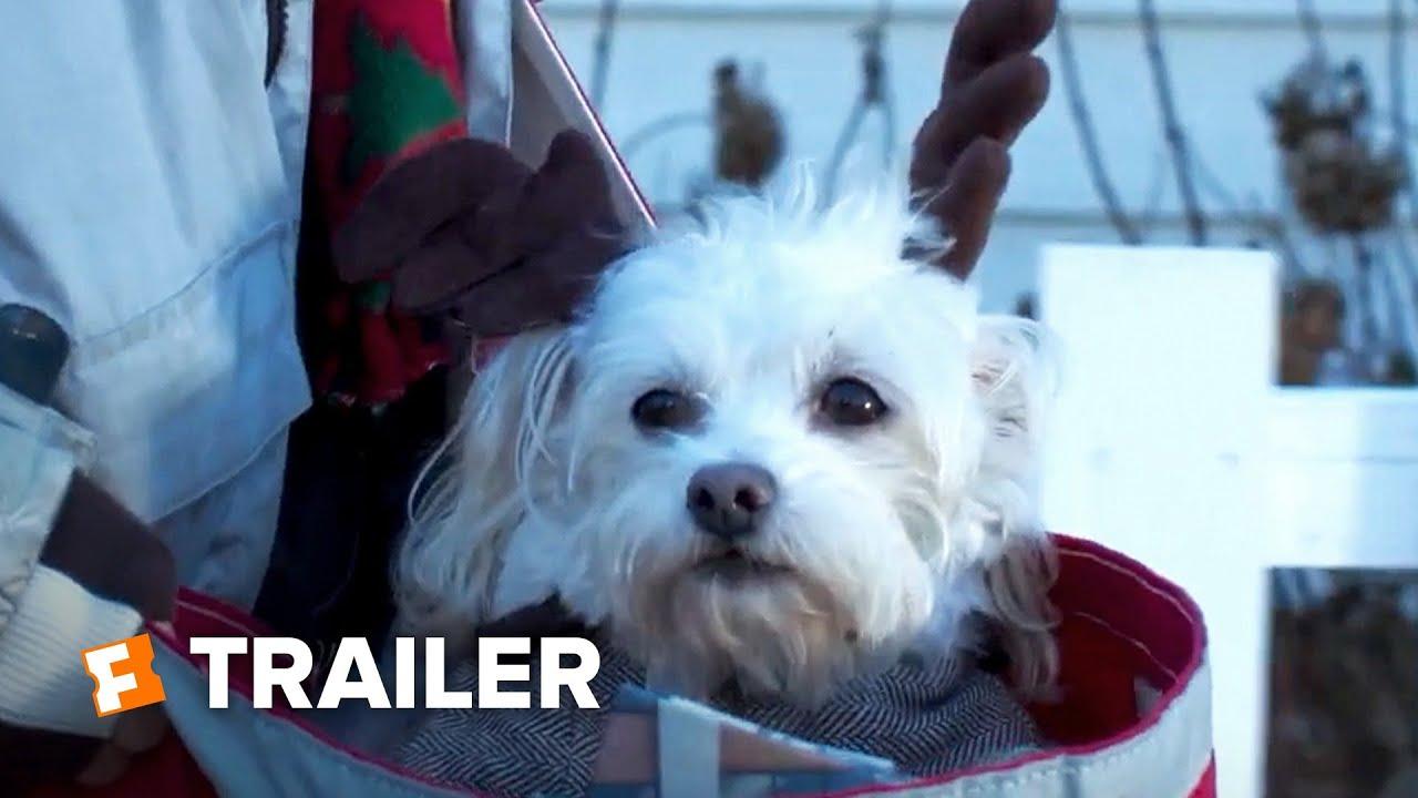 Charlie's Christmas Wish Trailer