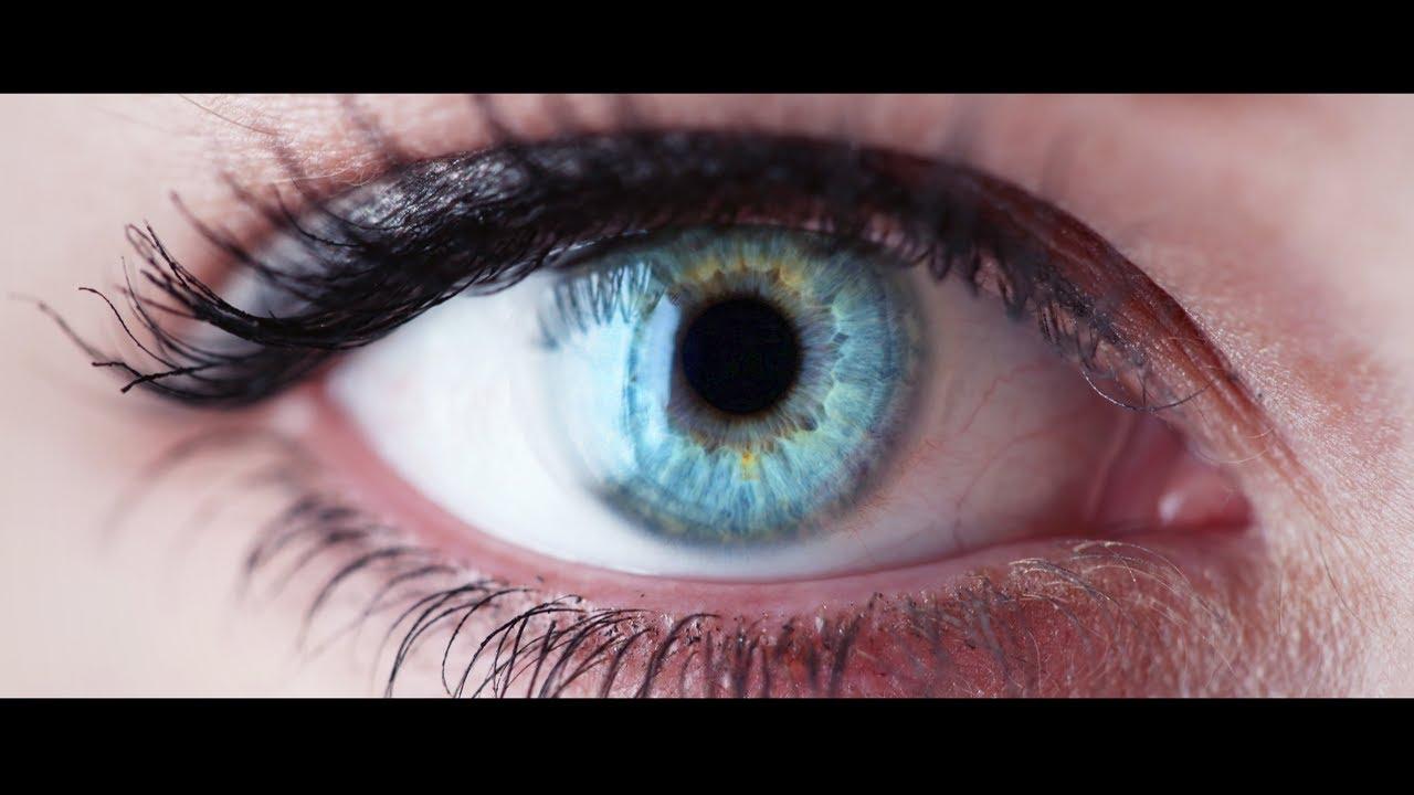 Phi Trailer