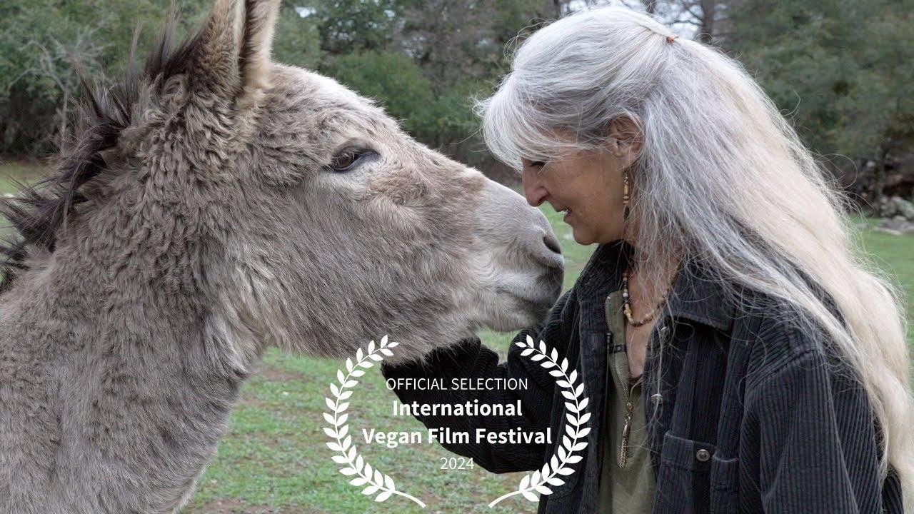 A Quest for Compassion Trailer