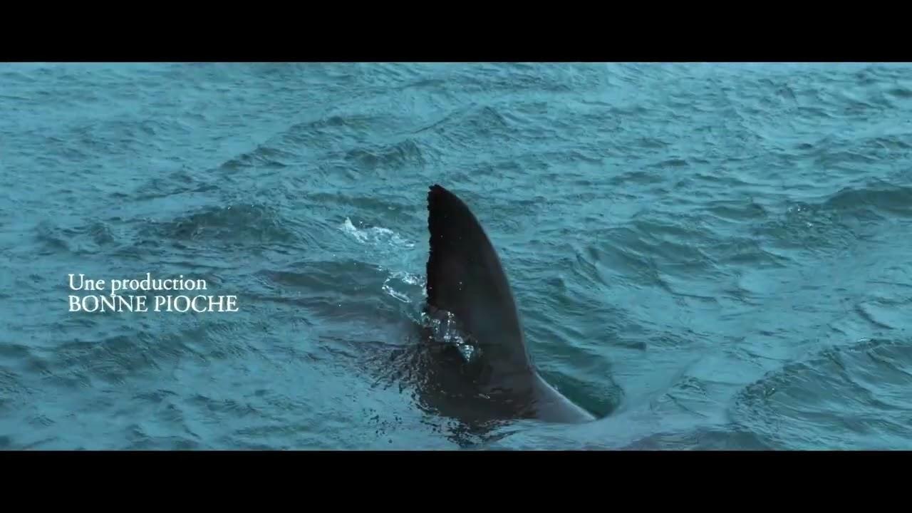 For the Love of Sharks Trailer