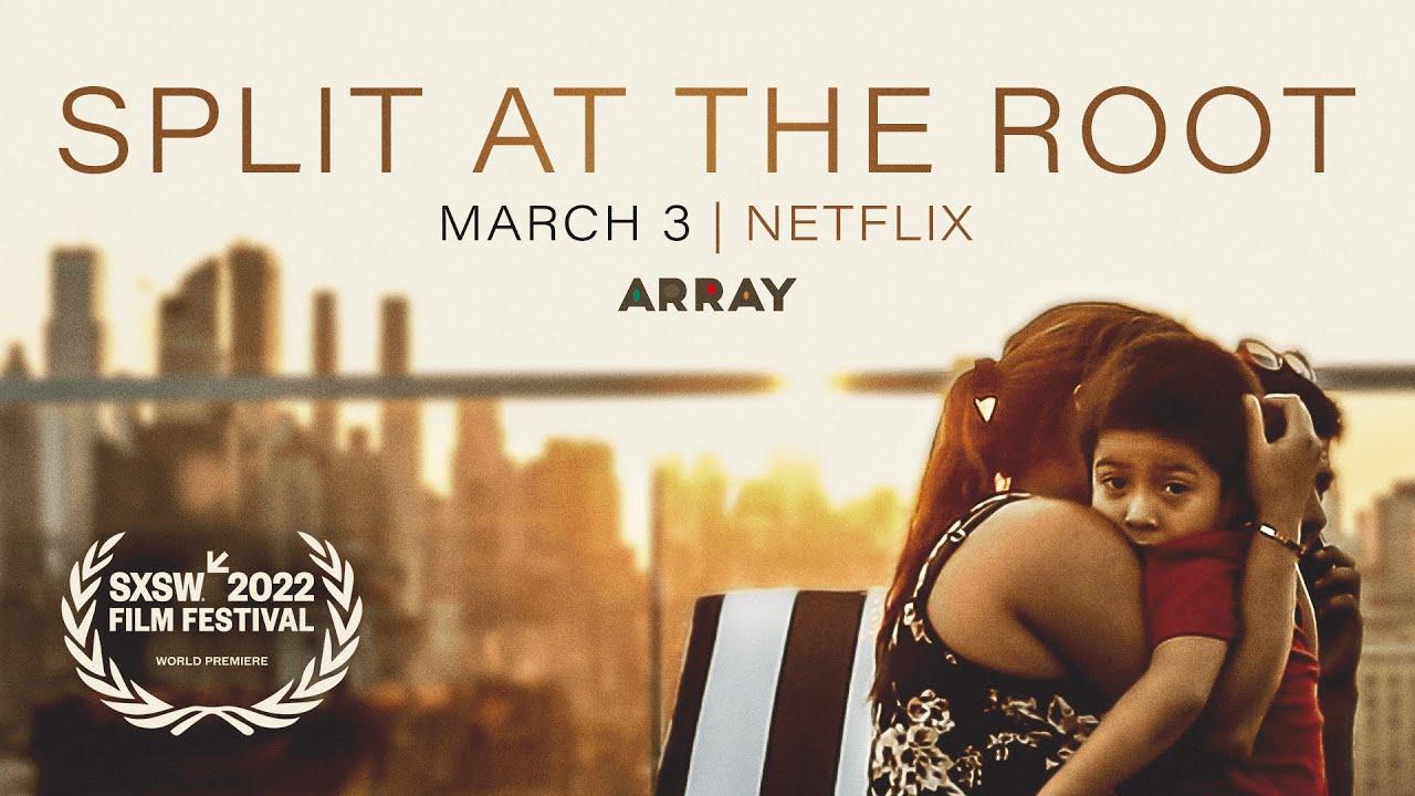 Split at the Root Trailer