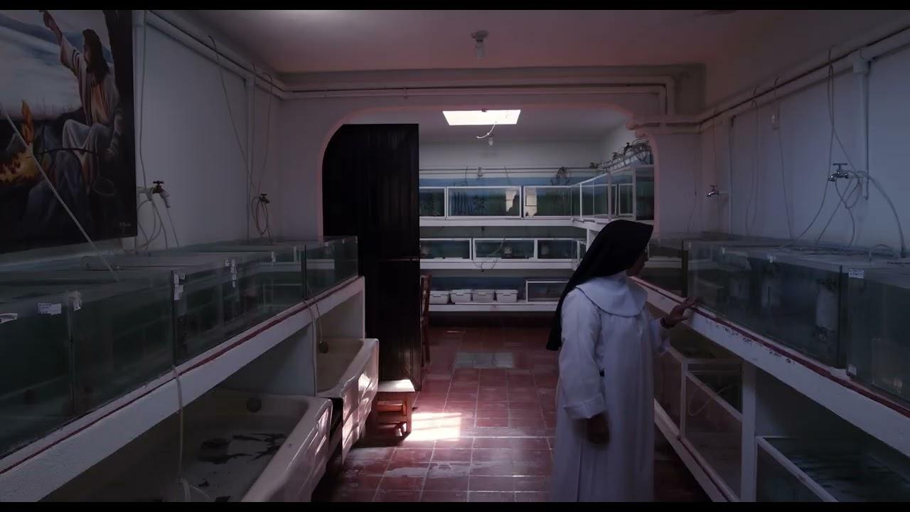A Common Sequence Trailer