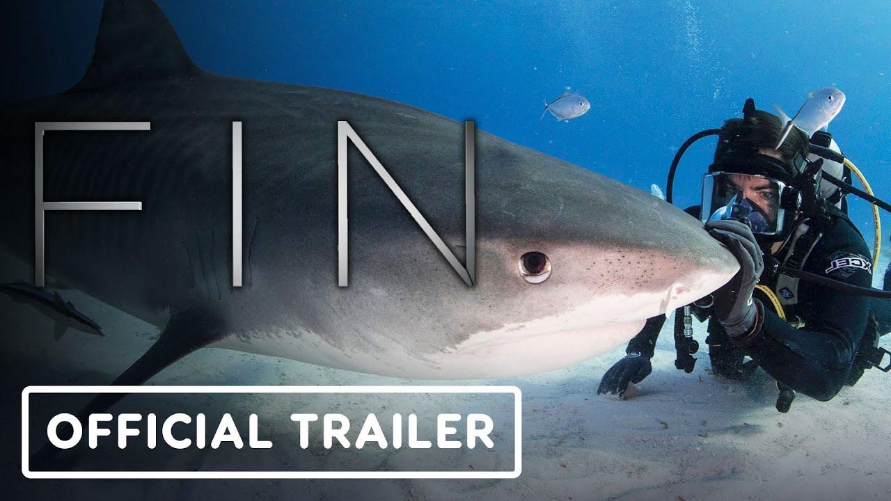 Fin Trailer