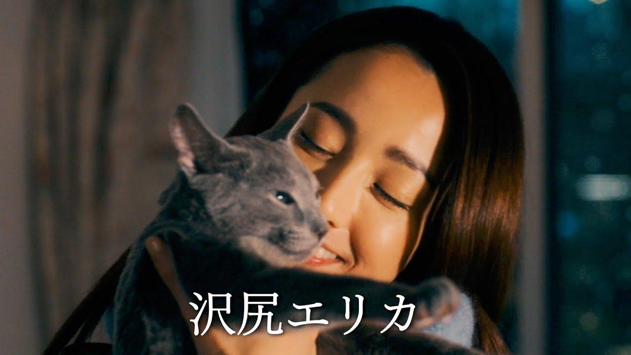 The Cat in Their Arms Trailer