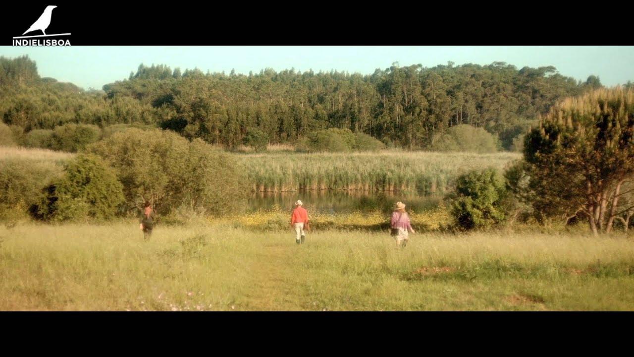 Paul Trailer