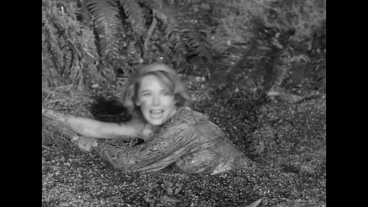 Tarzan's Hidden Jungle Trailer