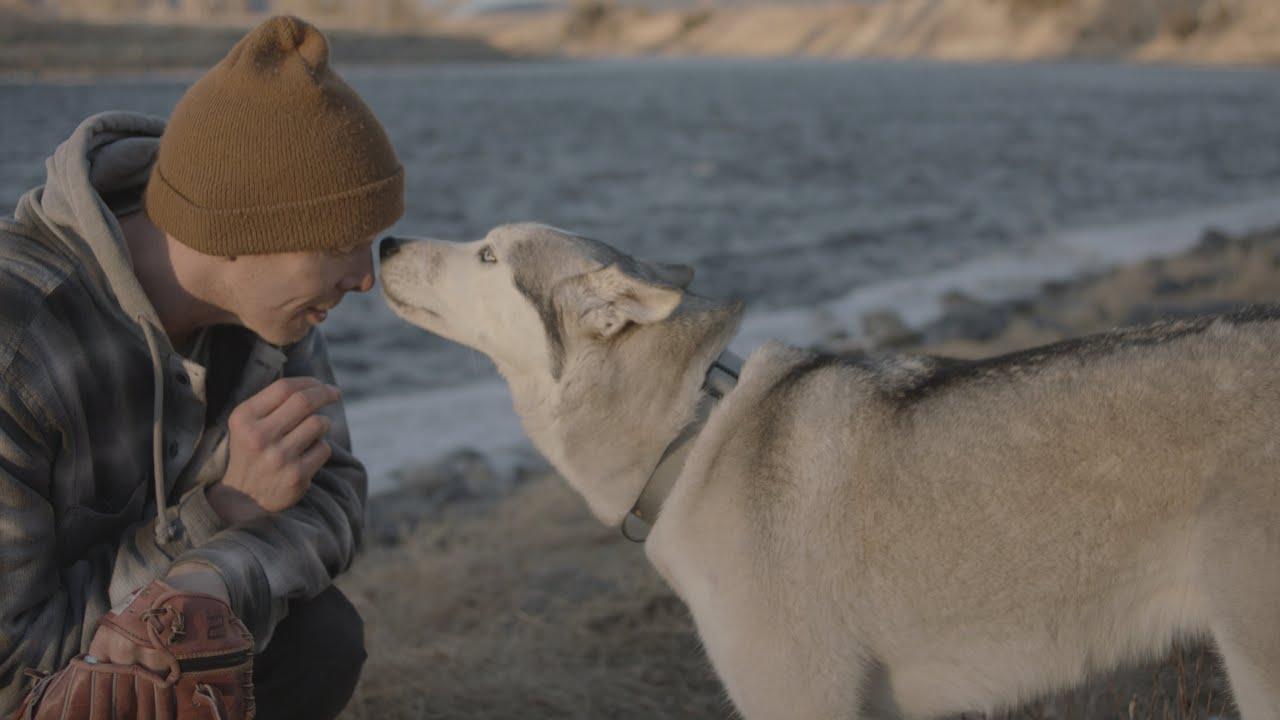 The Year of the Dog Trailer